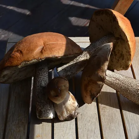 Kazkova Ferienhaus Slawske