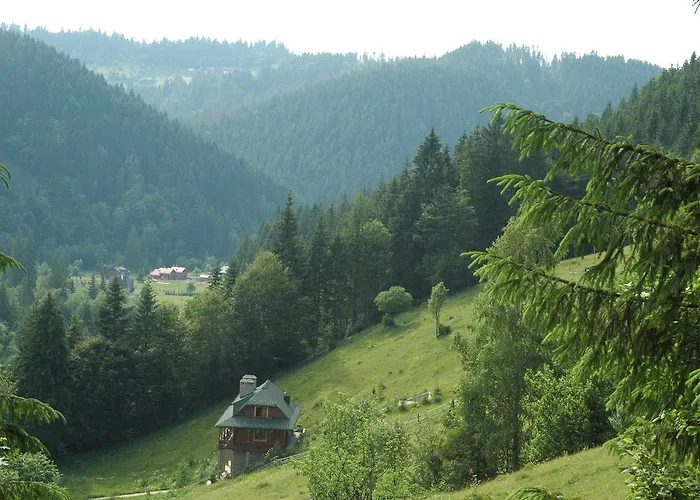 Kazkova *